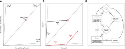 Social Network Analysis and Nutritional Behavior: An Integrated Modeling Approach